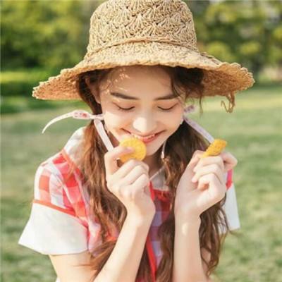 君王2满vbt版下载